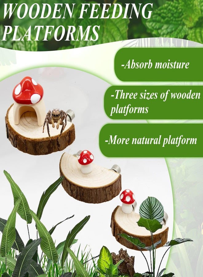 Niuohoy Jumping Spider Habitat Accessories Enclosure Habitat Accessories Jumping Spider Web Climbing and Feeding Platforms with Magnets for Small Insects Critters - Image 4